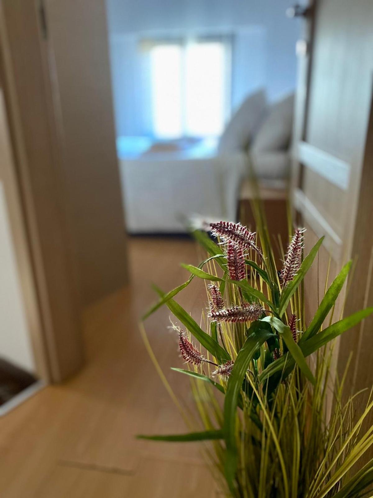 AronionCasa Del Sol公寓 外观 照片